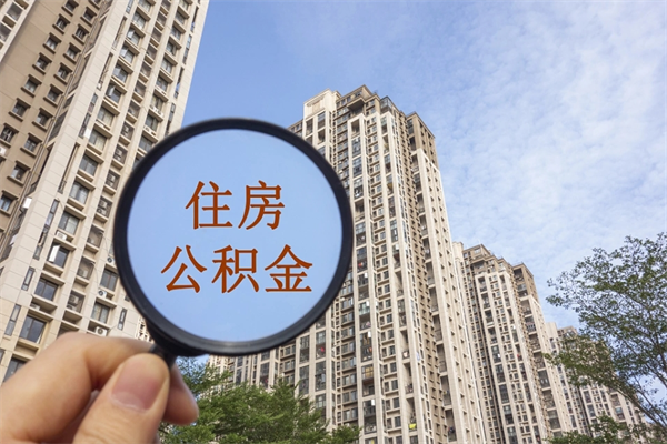 长垣辞职了补充公积金能取不（辞职后补充公积金如何提取）